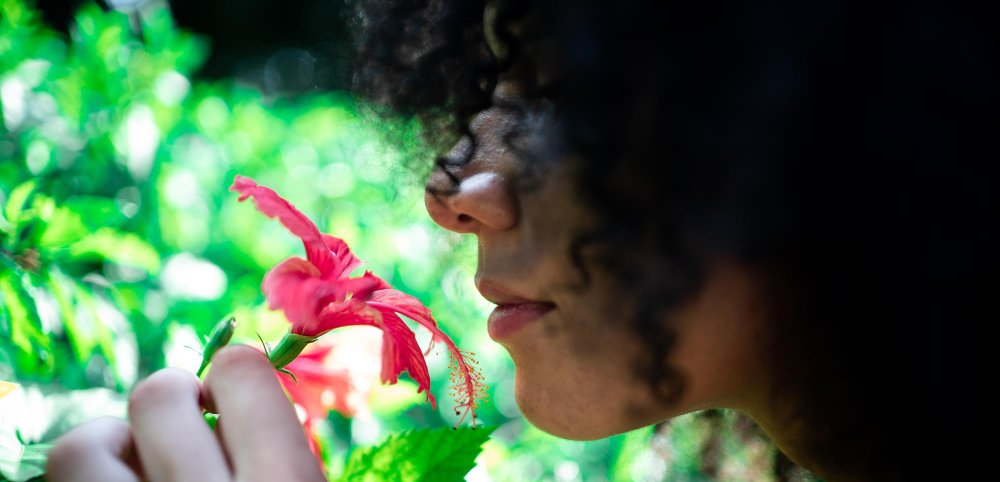 Practical Guide to Smell Retraining After Sinus Surgery 2