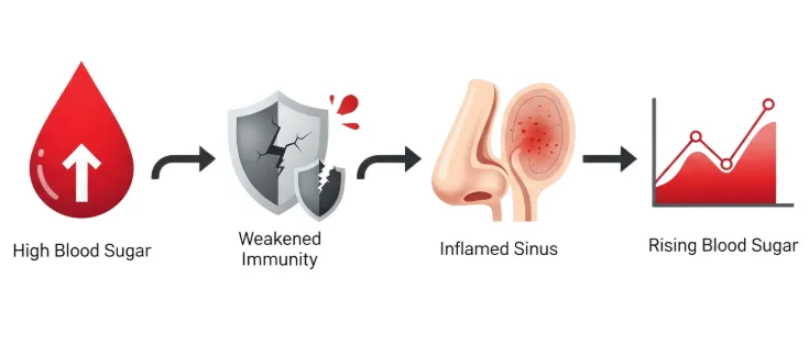 Sinus Health