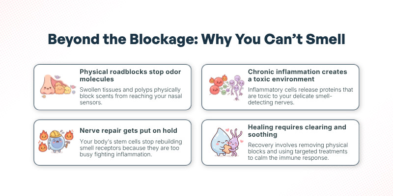 Does Chronic Sinusitis Lead to Loss of Smell? - Beyond the Blockage