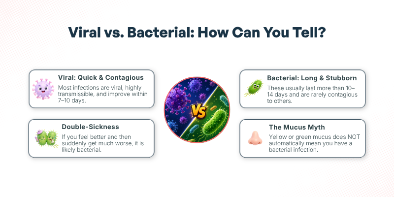 Sinus Infection Contagious - Image of Viral vs. Bacterial