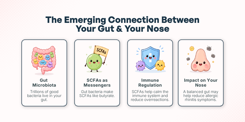 Gut Health and Allergic Rhinitis - The Emerging Connection Between Your Gut & Your Nose